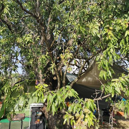 S&M Camping スベティ・フィリップ・イ・ヤコブ エクステリア 写真